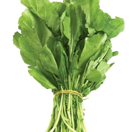 جرجير