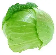 ملفوف اخضر