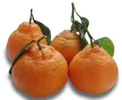مندلينا