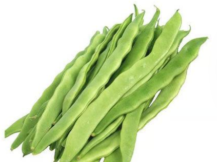 فاصوليا عريضه